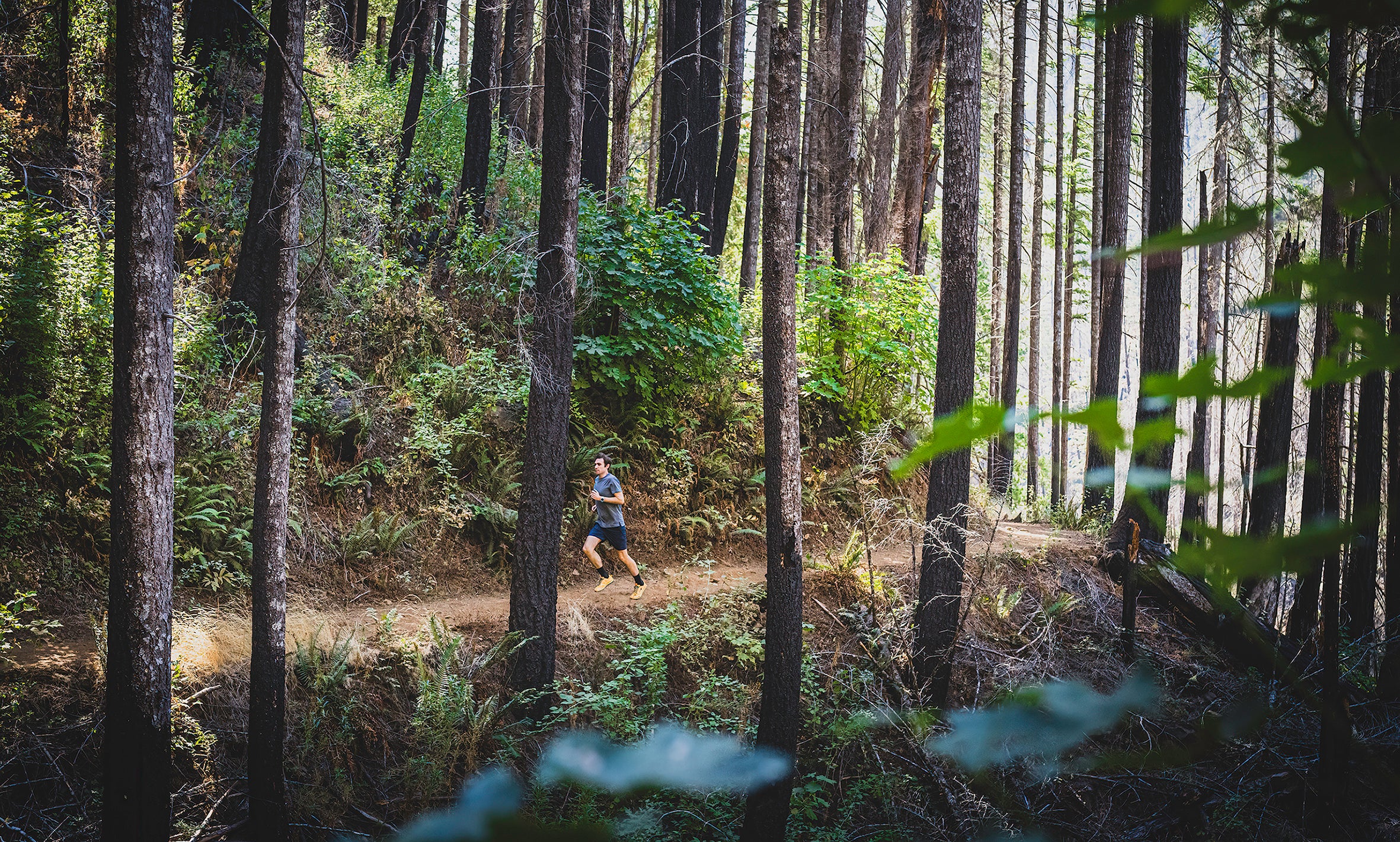 製品ラインナップ アルトラ オンラインストア