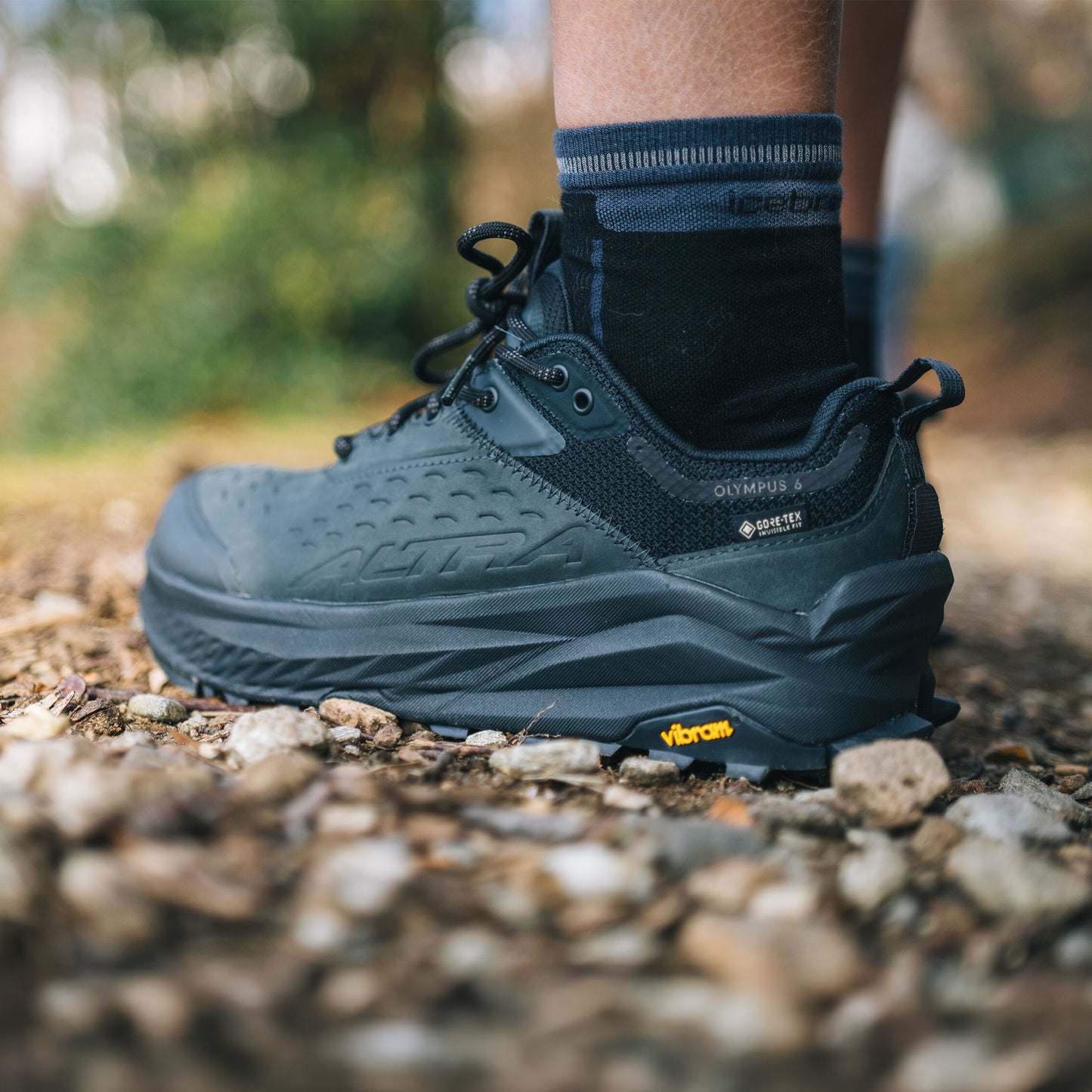 OLYMPUS 6 HIKE LOW GTX