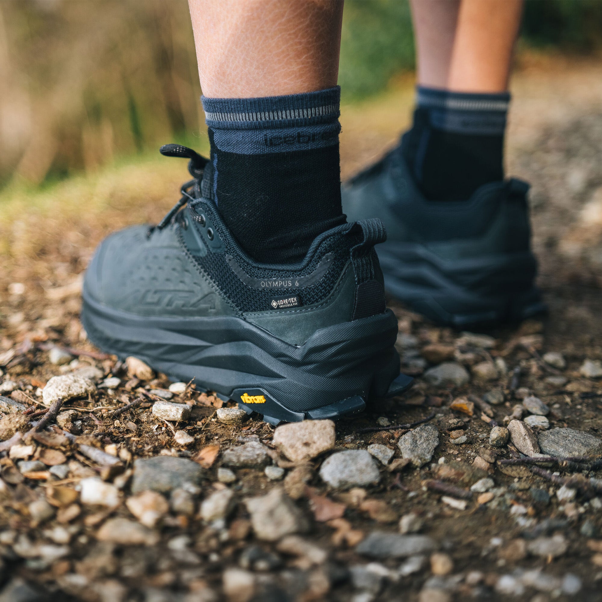 OLYMPUS 6 HIKE LOW GTX – ALTRA Japan