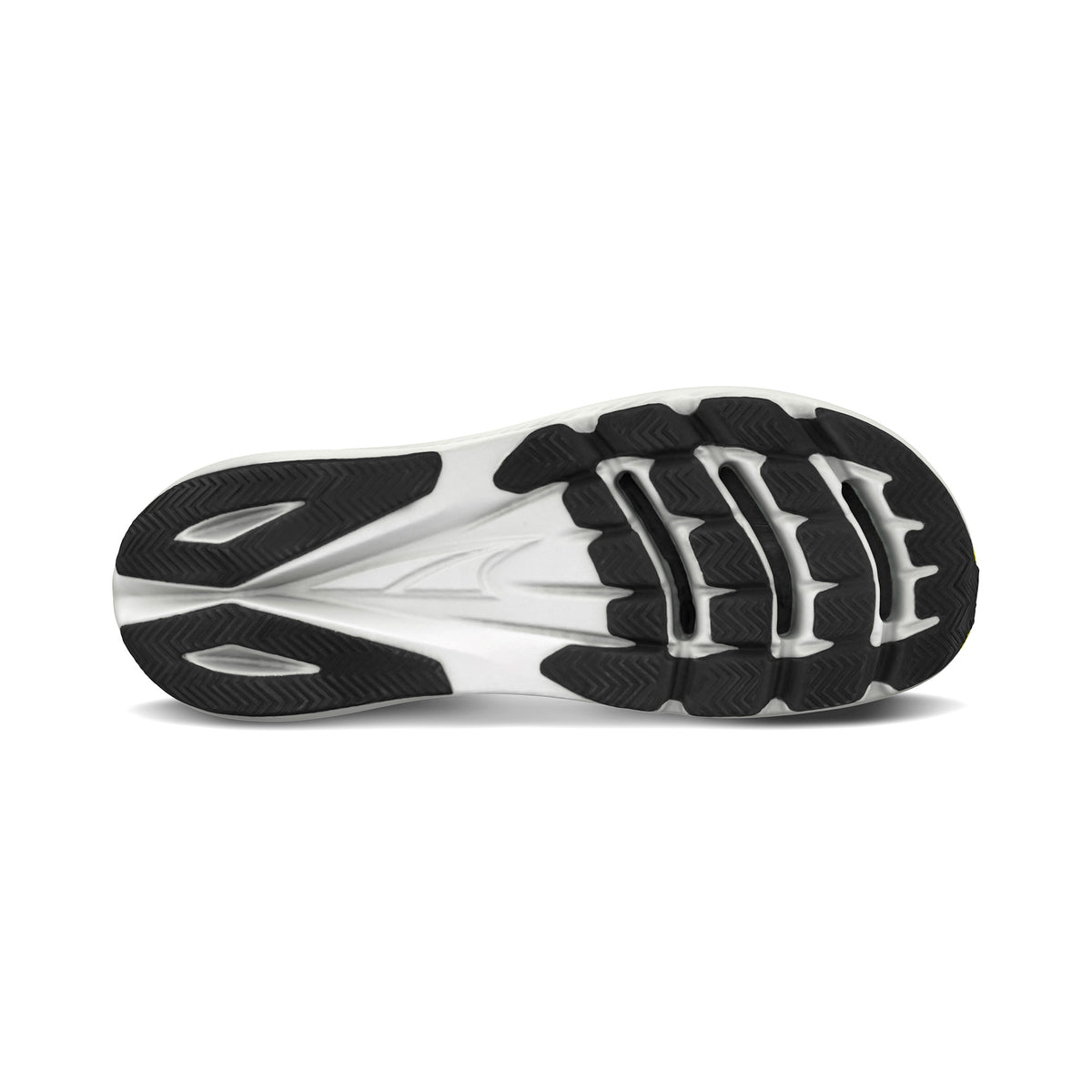 VANISH CARBON 2 Men's