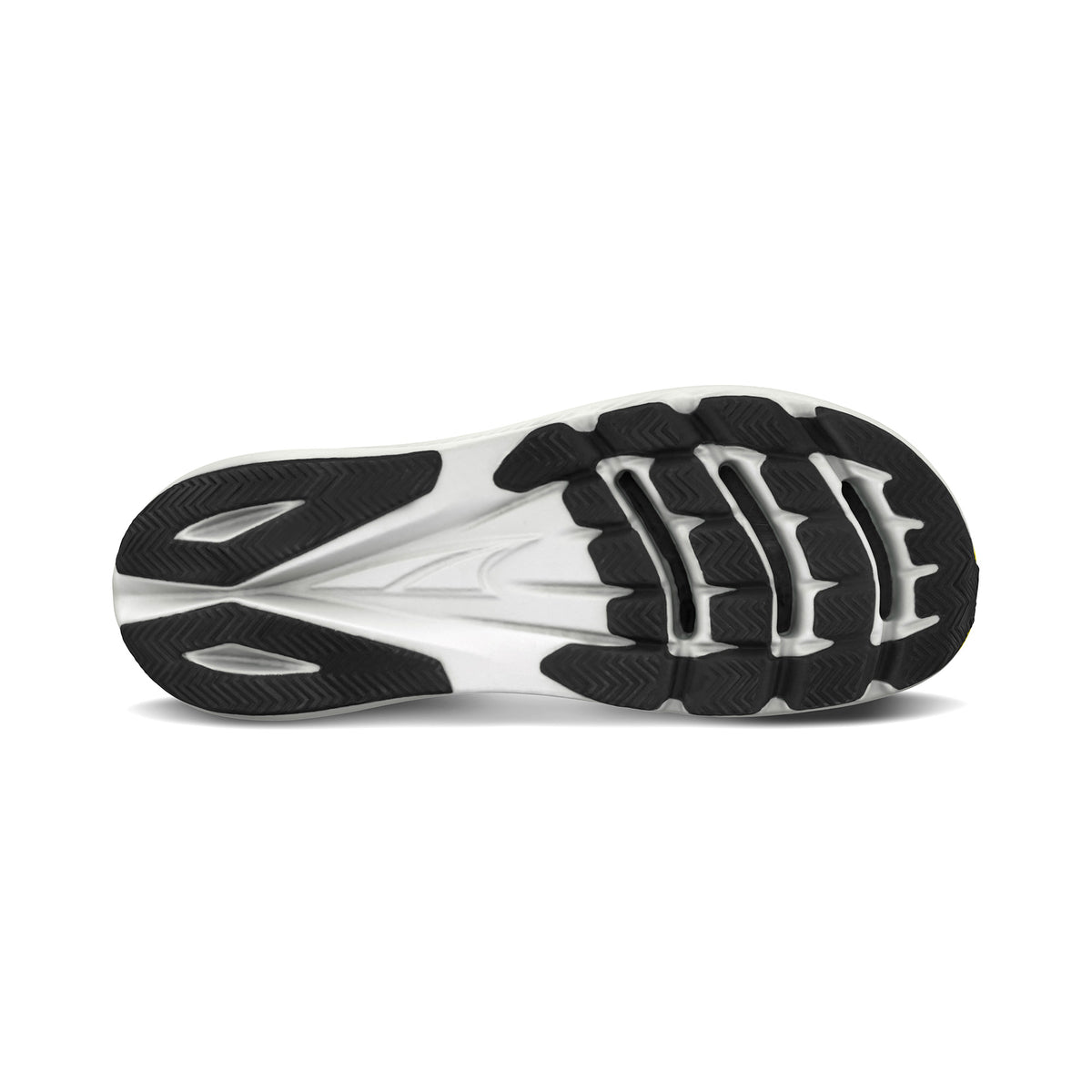 VANISH CARBON 2 Women's